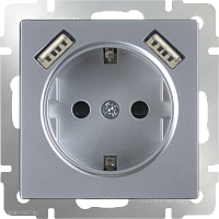 Розетка с заземлением, шторками и USBх2 (серебряный) Werkel WL06-SKGS-USBx2-IP20