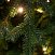 Ель CRYSTAL TREES Персея с вплетенной гирляндой 230 см KP11230L