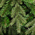 CRYSTAL TREES Искусственная Ель Амати 150 см
