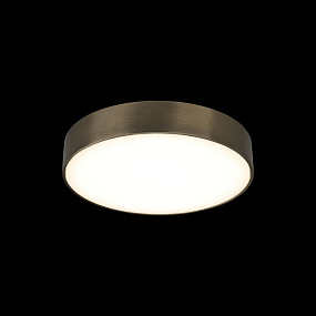Потолочный светодиодный светильник Aployt Evon APL.0114.29.24