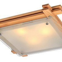 Потолочный светильник Arte Lamp ARCHIMEDE A6460PL-3BR
