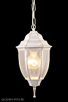 Подвесной уличный светильник Arte Lamp PEGASUS A3151SO-1WG