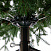 Ель CRYSTAL TREES Савойя 210 см KP13210