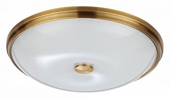 Настенно-потолочный светильник Odeon Light PELOW 4956/5