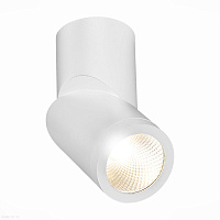 Накладной светодиодный светильник ST Luce ST650.532.10