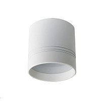 Накладной светодиодный светильник Donolux Barell DL18483/WW-White R