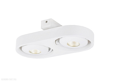 Накладной светодиодный светильник Donolux DL18697/12WW-White