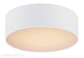 Потолочный светильник FAVOURITE Cerchi 1515-2C1