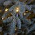 Ель CRYSTAL TREES Персея в снегу с вплетенной гирляндой 230 см KP11230SL