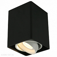 Накладной светильник Arte Lamp A5655PL-1BK