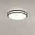 Потолочный светильник CITILUX Бостон CL709505N
