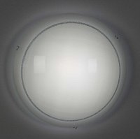 Настенно-потолочный светильник CITILUX Лайн CL918081
