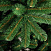 CRYSTAL TREES Искусственная Ель Питерская зеленая 150см