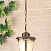 Уличный подвесной светильник Elektrostandard Atlas H (GLYF-2010H) черное золото