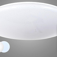 Потолочный светодиодный светильник Arti Lampadari Vista E 1.13.49 W
