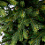 Ель CRYSTAL TREES Княжеская зеленая 210 см KP6221