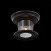 Уличный потолочный светильник ST Luce LASTERO SL080.402.01