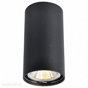 Накладной светильник Arte Lamp A1516PL-1BK