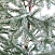 Ель CRYSTAL TREES РОНДА а в снегу 150 см. KP15150