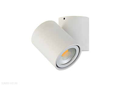 Накладной поворотный светильник Donolux Eva A1594White/RAL9003