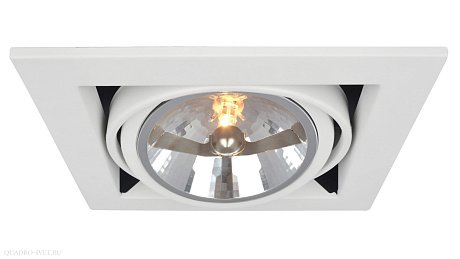 Встраиваемый точечный светильник Arte Lamp CARDANI A5935PL-1WH