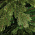 CRYSTAL TREES Искусственная Ель Тоскана 210 см