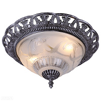 Потолочный светильник Arte Lamp PIATTI A8001PL-2SB
