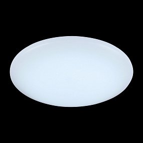 Настенно-потолочный светильник ST Luce Liscio SL875.442.01