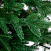 Ель CRYSTAL TREES Савойя 270 см KP13270