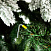 Ель CRYSTAL TREES ЭМИЛИ зеленая в снегу 150 см. KP4615S