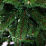 CRYSTAL TREES Искусственная Ель Алтайская 150 см