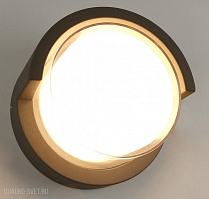 Светодиодный уличный настенный светильник Arte Lamp A8159AL-1GY