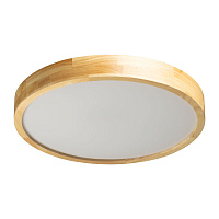 Потолочный светильник De City Норден 660015501