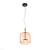 Светодиодный подвесной светильник ST Luce PALOCHINO SL1053.273.01