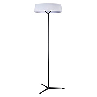 Торшер светодиодный Divinare ALMA 1029/06 PN-11