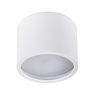 Накладной светильник Arte Lamp INTERCRUS A5543PL-1WH