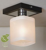 Накладной светильник Lussole Loft COSTANZO GRLSL-9007-01