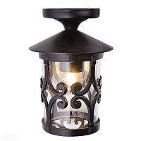 Подвесной уличный светильник Arte Lamp PERSIA A1453PF-1BK