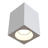 Накладной потолочный светильник Maytoni Sirius C030CL-01W