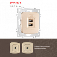 Розетка USB 2.1А+1А 205.46-1.shampan Arte Milano