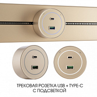 Трековая розетка, 3.1A 250V 399732TS/USB-Type-C Gold Arte Milano