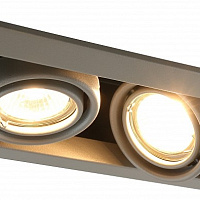 Встраиваемый светильник Arte Lamp Cardani A5941PL-2GY