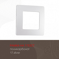 Рамка из поликарбоната на 1 пост 517.17-1.silver Arte Milano