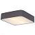 Потолочный светильник Arte Lamp COSMOPOLITAN A7210PL-2BK