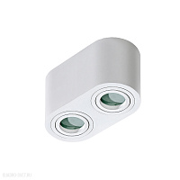 Потолочный светильник Azzardo Brant 2 IP44 AZ2816