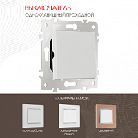 Выключатель одноклавишный проходной (на 2 направления) , 10AX 250V 203.32-1.white Arte Milano