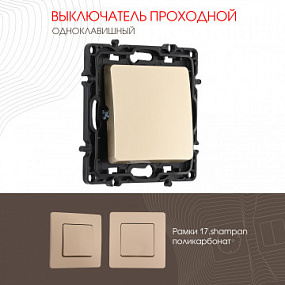 Выключатель одноклавишный проходной (на 2 направления), 10AX 250V 217.32-1.shampan Arte Milano