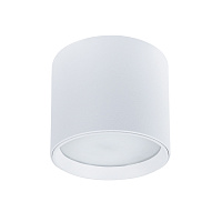 Накладной светильник Arte Lamp INTERCRUS A5548PL-1WH