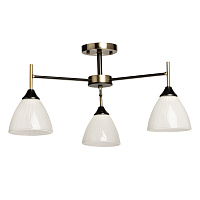 Потолочная люстра De City Дэла 116010303