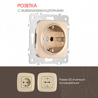 Розетка с заземлением и шторками, 16A 250V 205.40-1.shampan Arte Milano